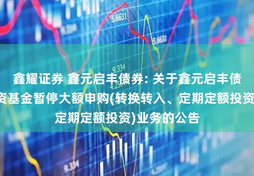 鑫耀证券 鑫元启丰债券: 关于鑫元启丰债券型证券投资基金暂停大额申购(转换转入、定期定额投资)业务的公告