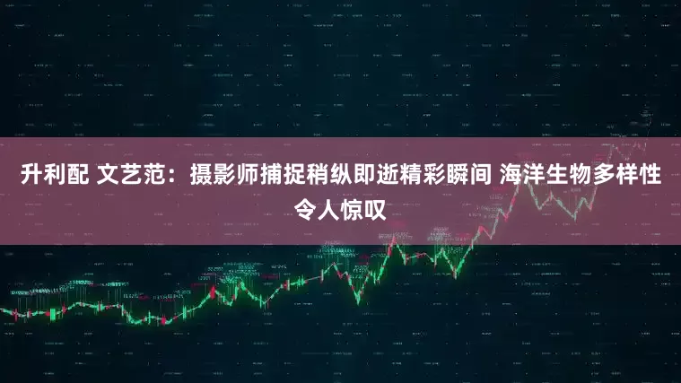 升利配 文艺范：摄影师捕捉稍纵即逝精彩瞬间 海洋生物多样性令人惊叹