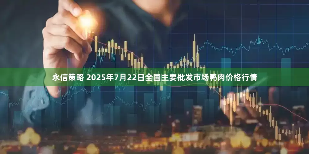 永信策略 2025年7月22日全国主要批发市场鸭肉价格行情