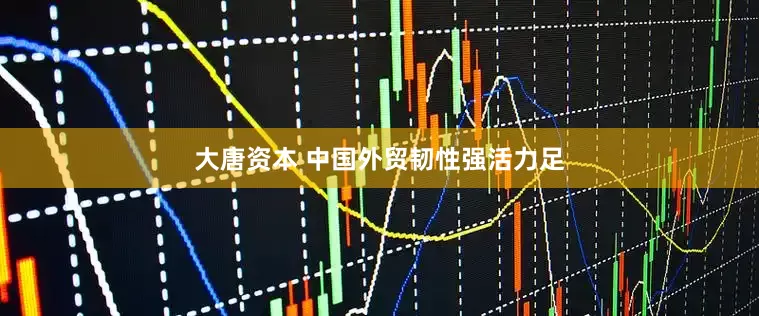 大唐资本 中国外贸韧性强活力足