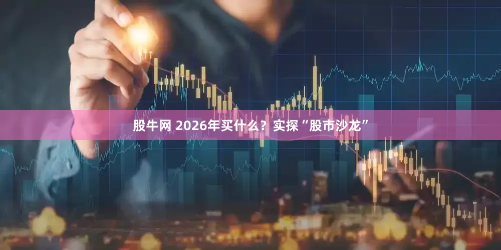 股牛网 2026年买什么？实探“股市沙龙”